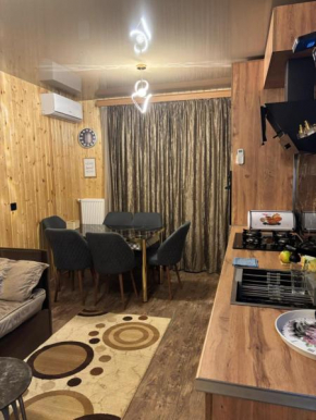 Apartment in Rustavi
